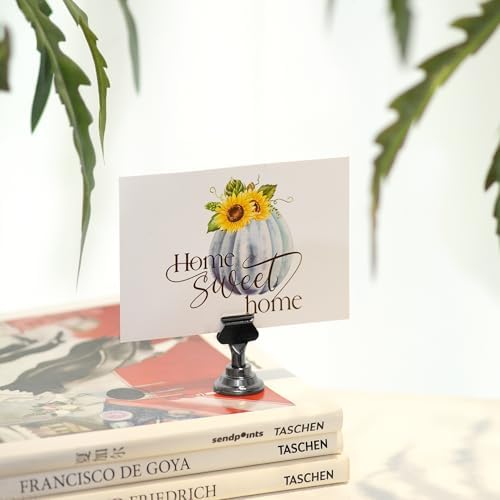 ERYTLLY 16-Pack Place Card Holders 17 Inch Steel Set