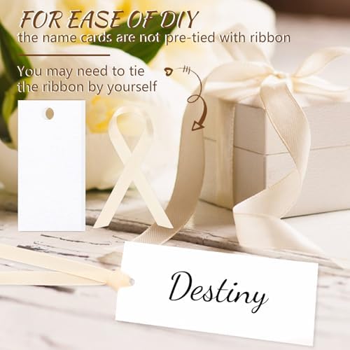 50 Pcs Blank Wedding Place Cards with Slinky Ribbons