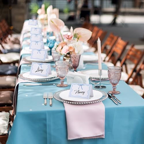 Maitys 24 Pcs Blue Gingham Place Cards for Picnic Party