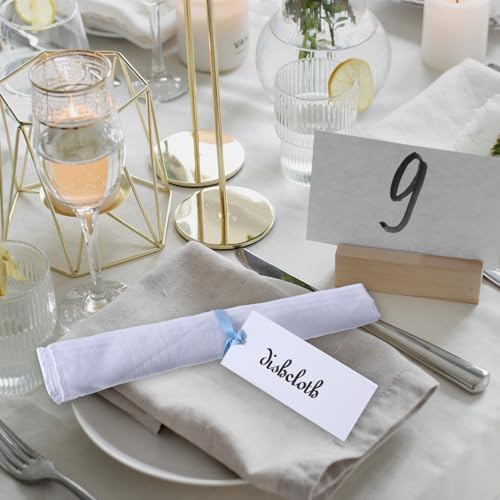 50 PCS Elegant Place Cards with Blue Sateen Ribbons