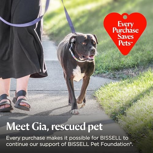 Bissell Pet Hair Eraser Allergen Lift-Off Upright Vacuum