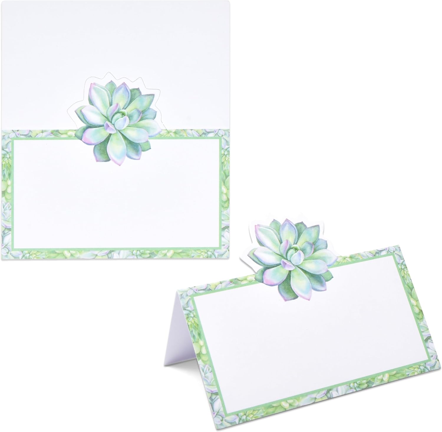 Gift Boutique 100 Succulent Place Cards