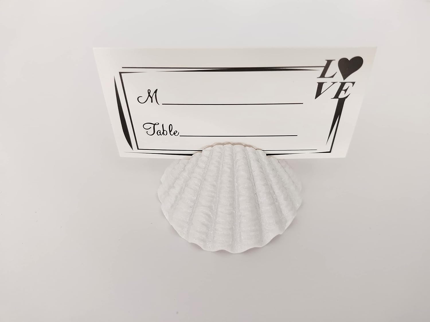 10 Pcs White Shell Table Card Holder for Events