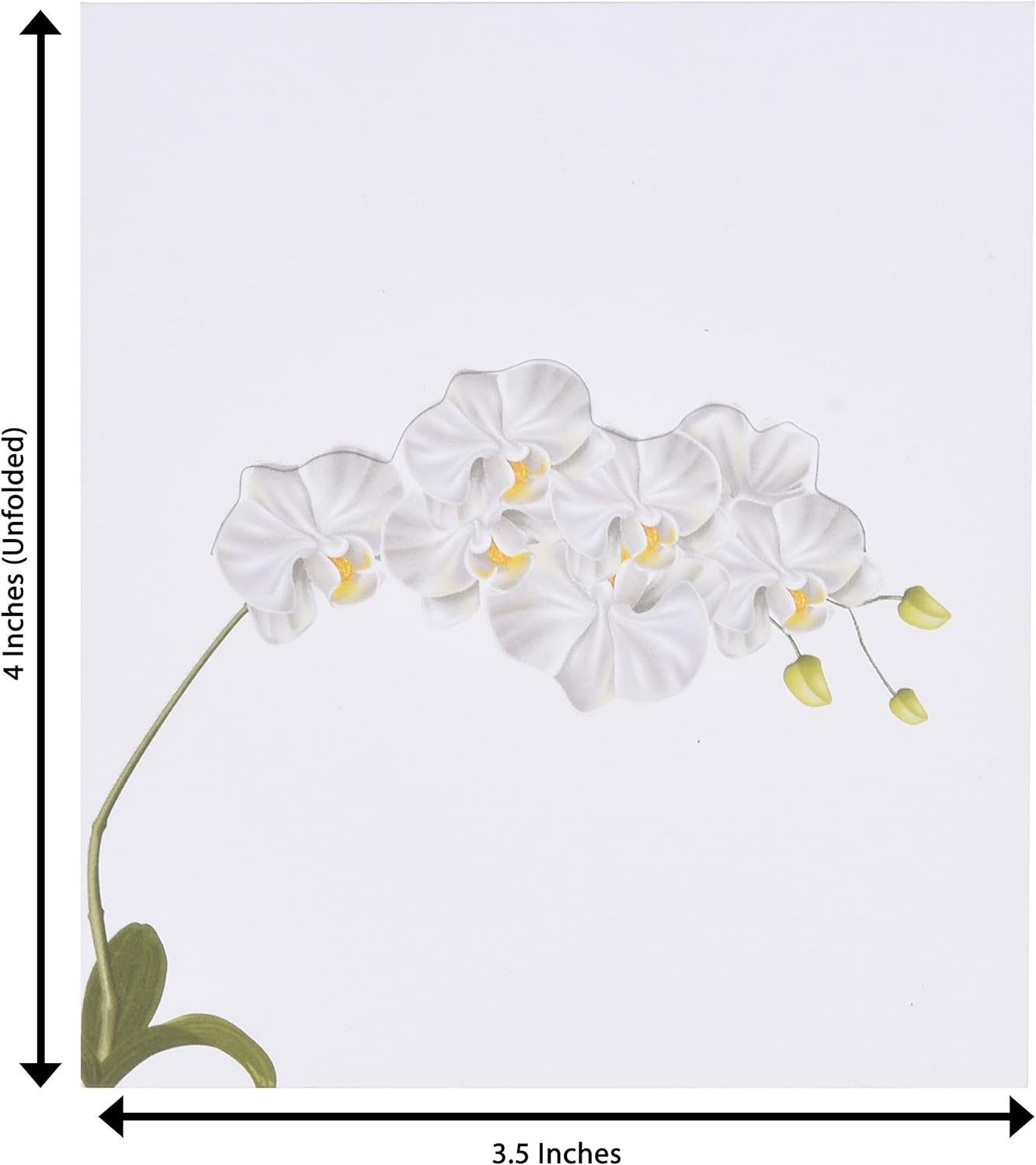 Gift Boutique 100 Pack White Orchid Place Cards