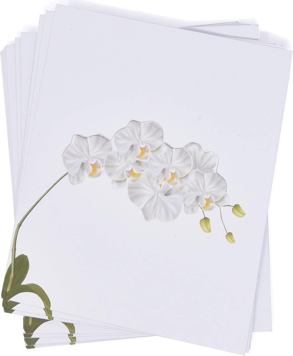 Gift Boutique 100 Pack White Orchid Place Cards