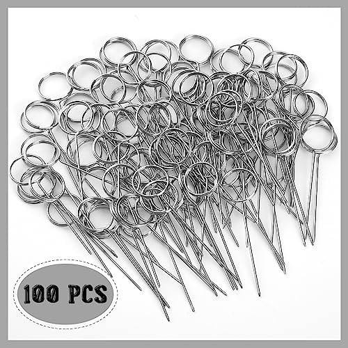 Seajan 100 Pcs 224 Inch Floral Card Holder Picks