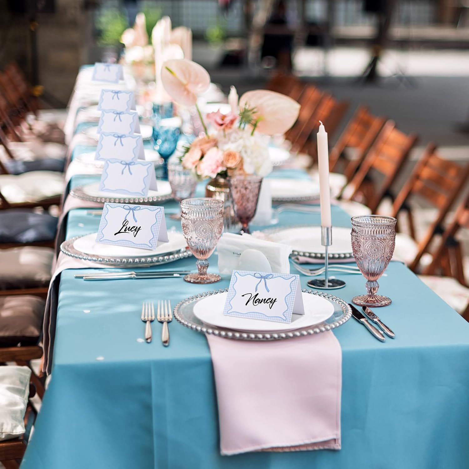 Maitys 24 Pcs Blue Gingham Place Cards for Picnic Party