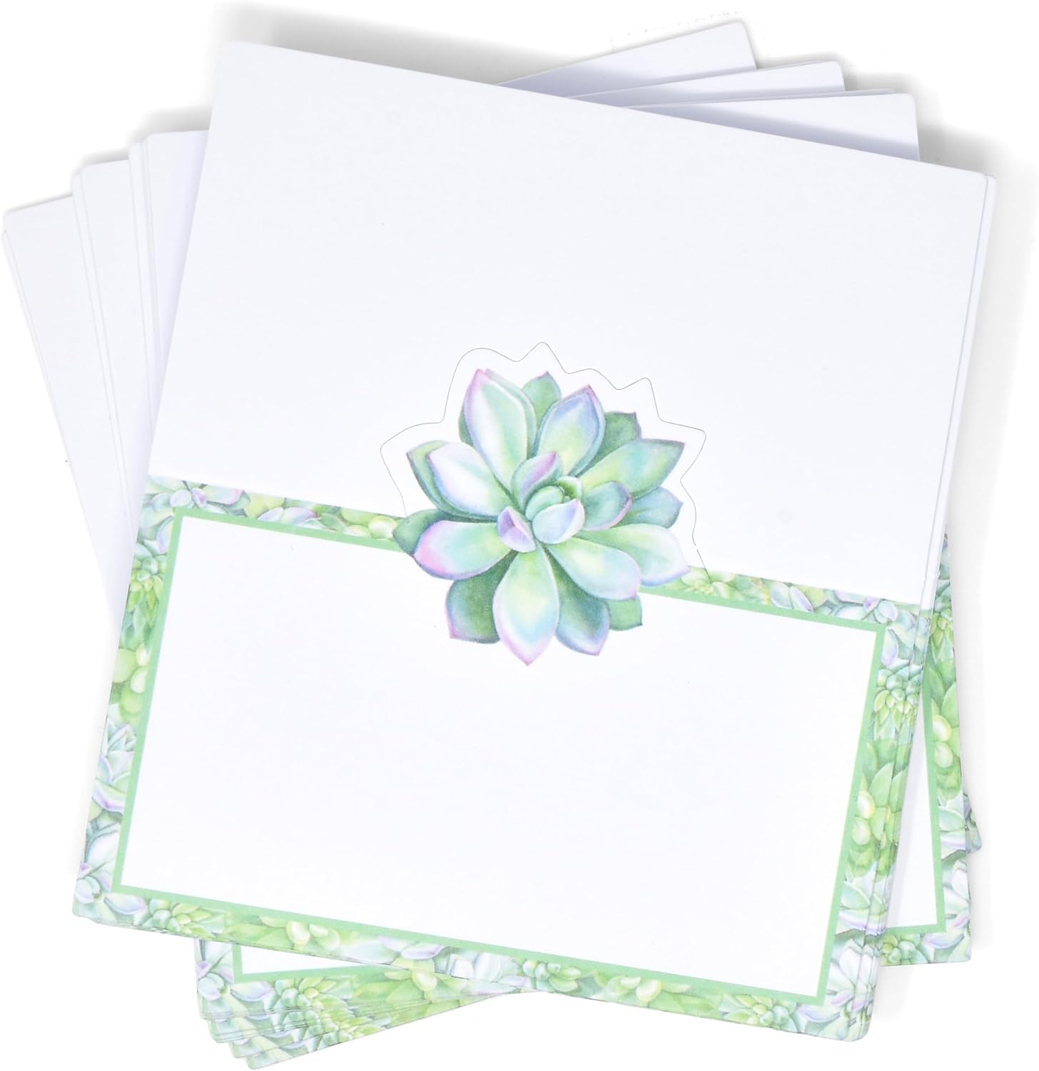 Gift Boutique 100 Succulent Place Cards