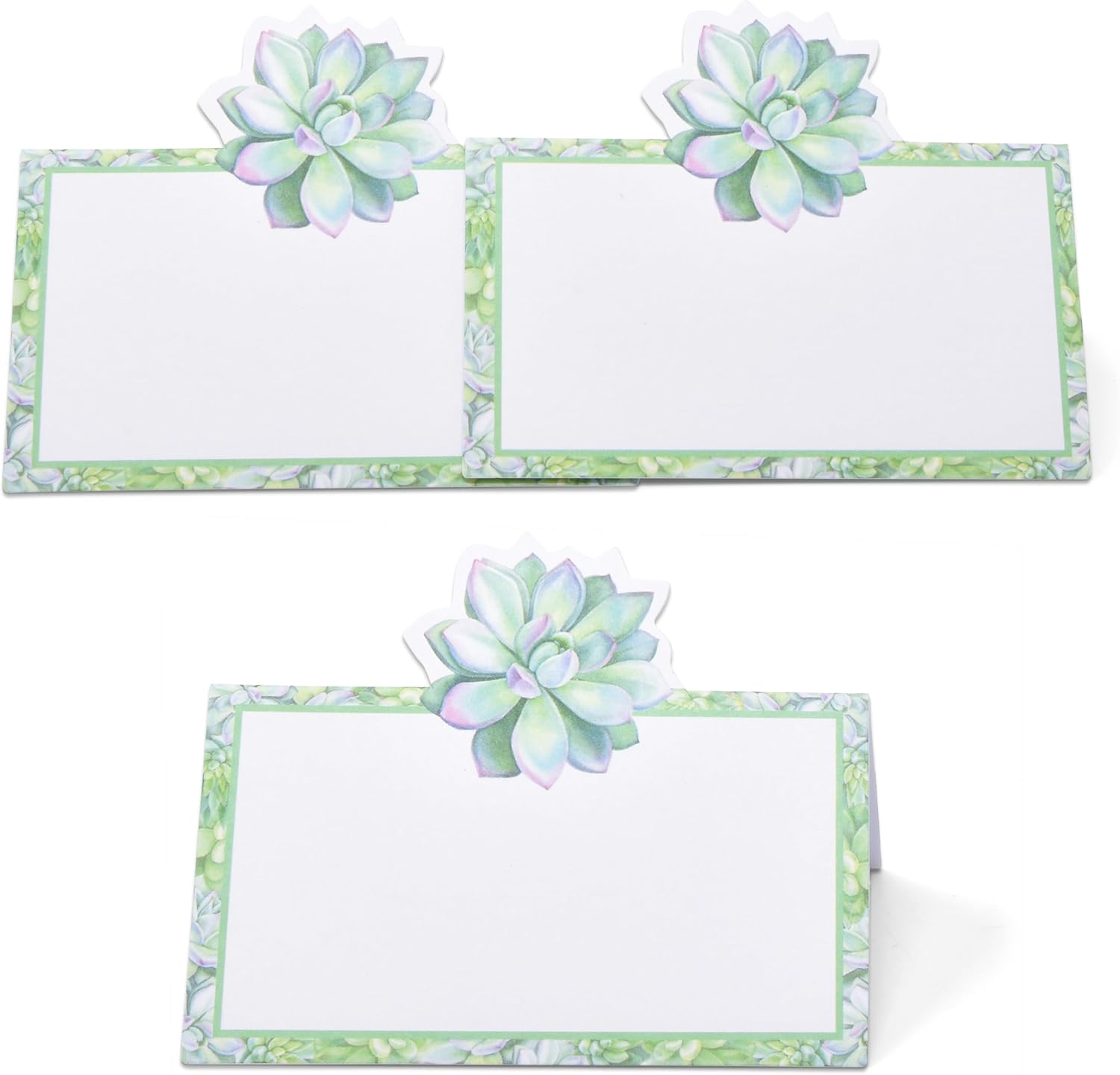 Gift Boutique 100 Succulent Place Cards