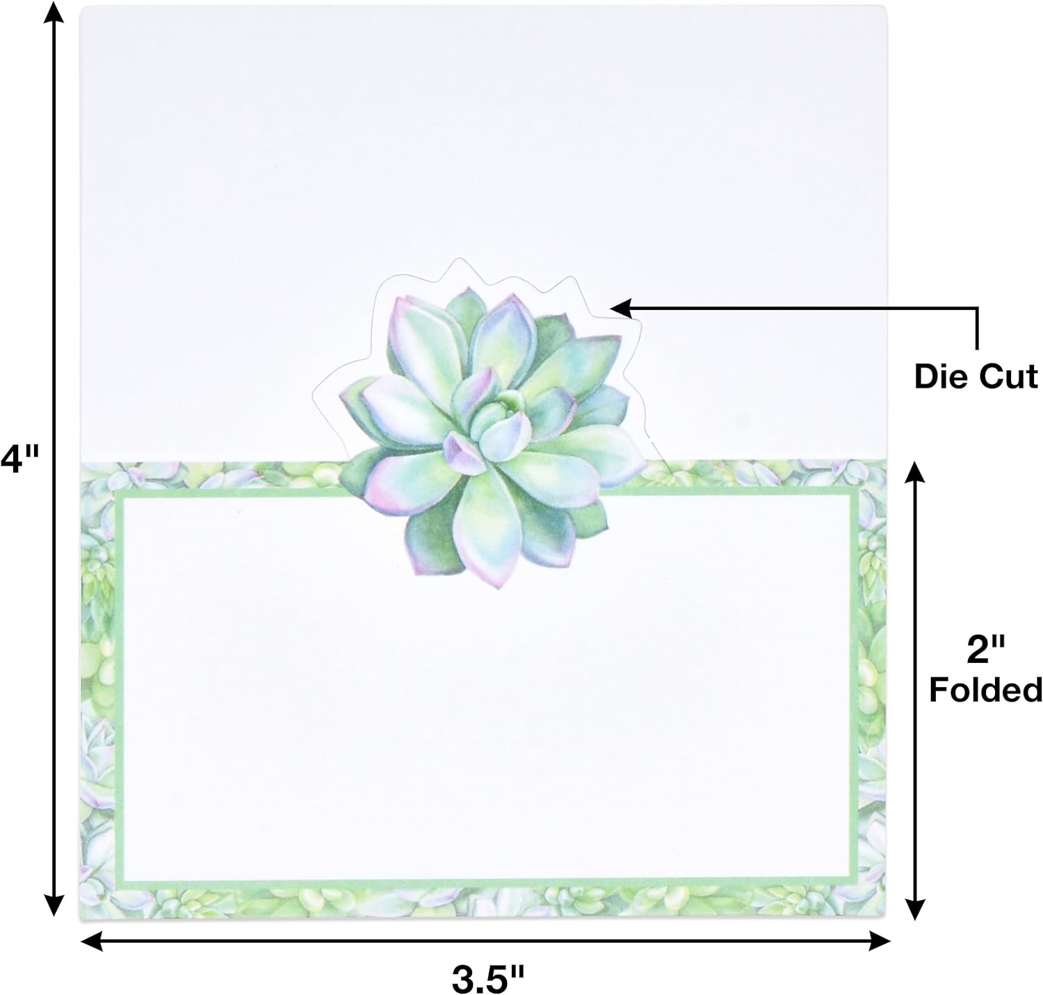 Gift Boutique 100 Succulent Place Cards