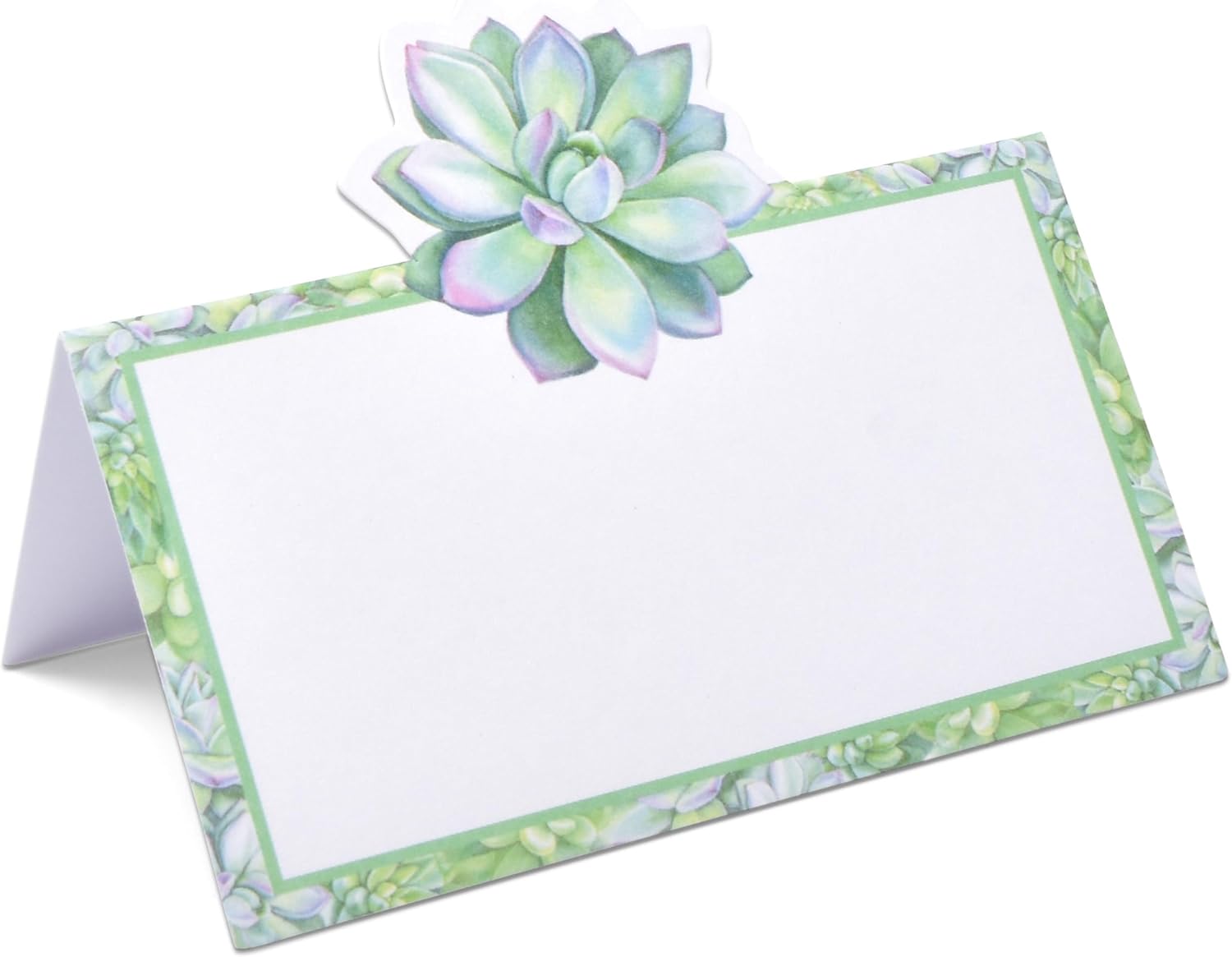 Gift Boutique 100 Succulent Place Cards