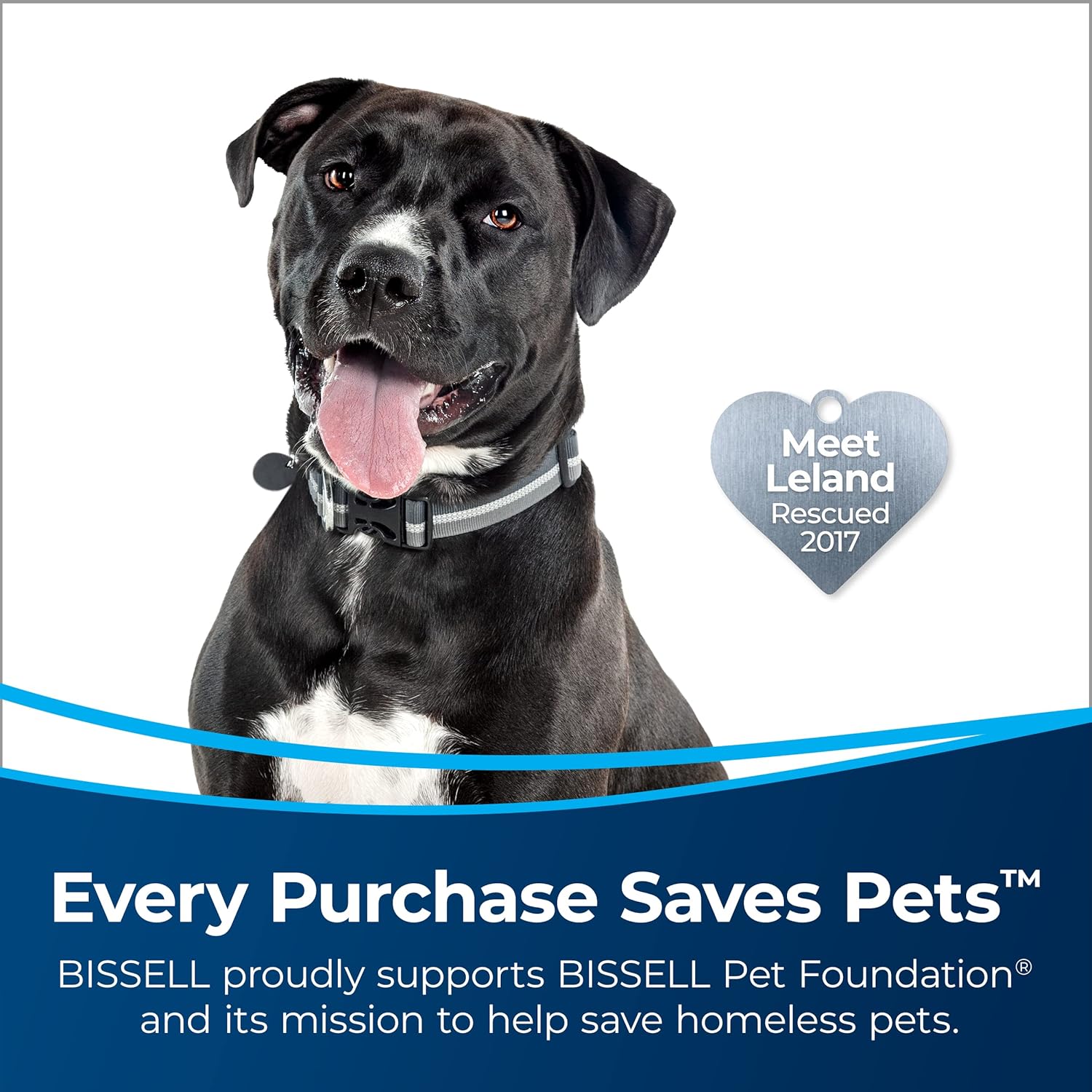 Bissell 2998 MultiClean Allergen Lift-Off Pet Vacuum