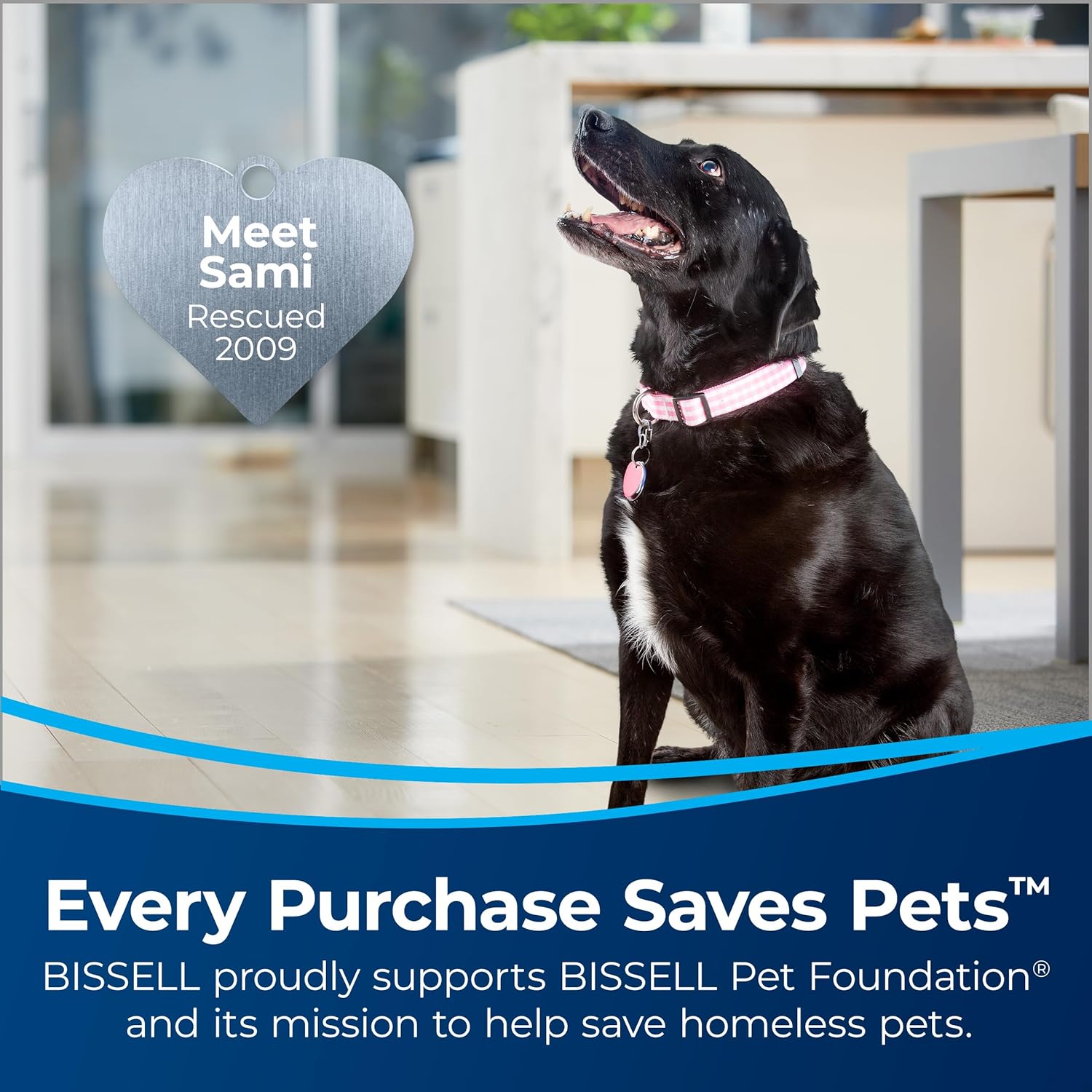 Bissell CleanView Pet Vacuum with Swivel Steering and Quick Release Wand